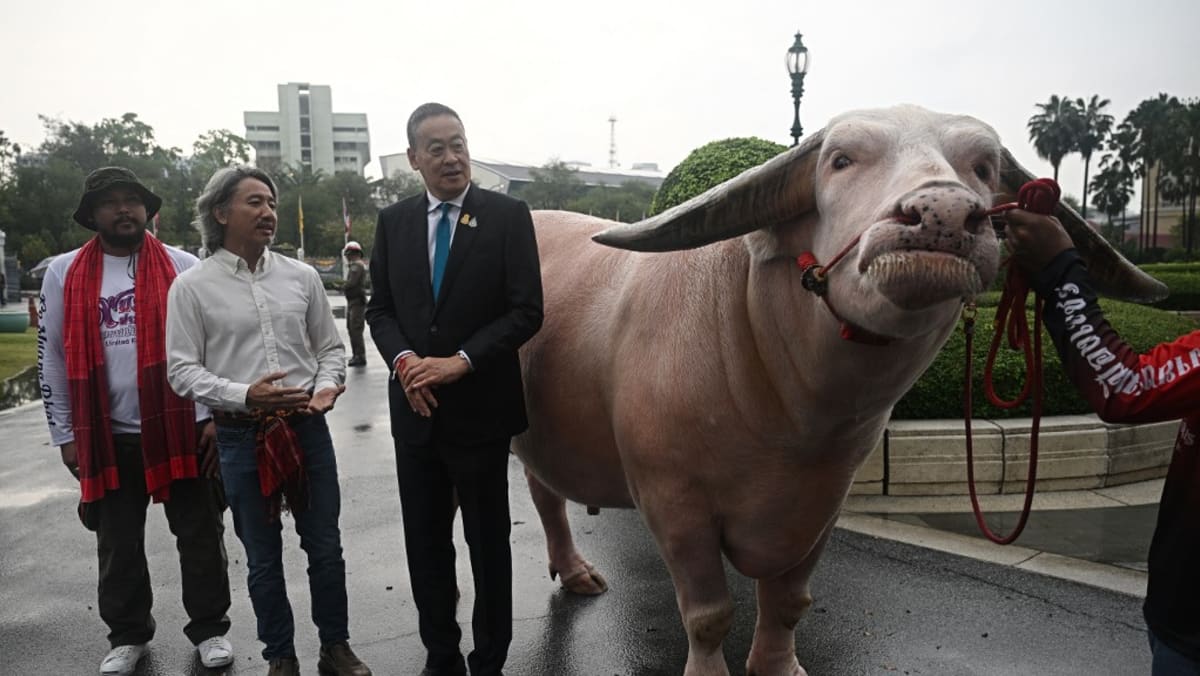 Thai PM meets US0,000 albino buffalo in ‘soft power’ push