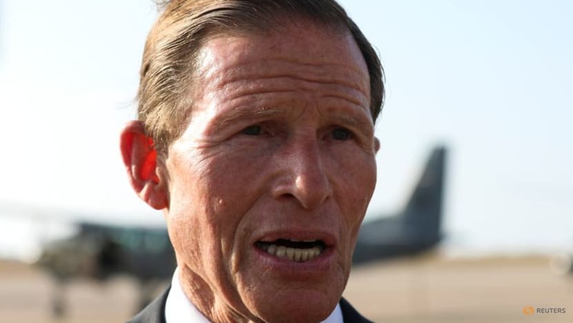 Lebanon in free fall, must not become 'horror story', US senator warns Lebanon in free fall, must not become 'horror story', US senator warns