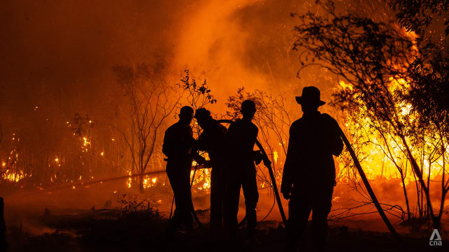 Coughing babies, DIY-firefighting farmers: Anger rising among locals in South Sumatra as province battles forest fires
