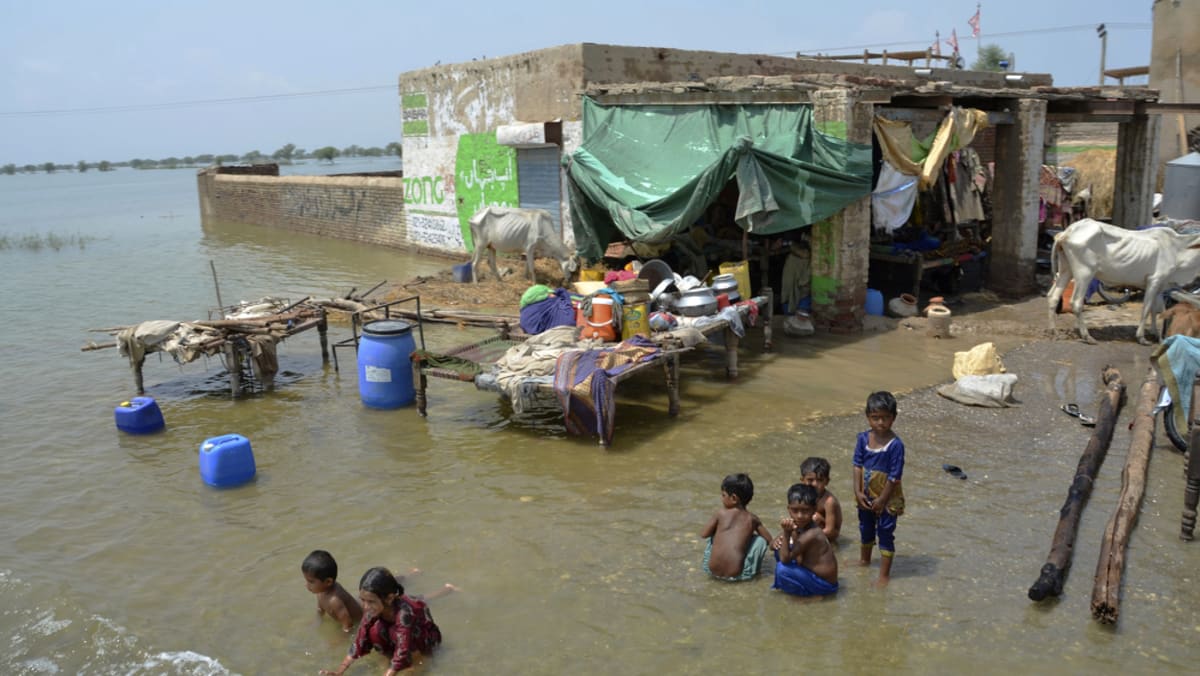Everything is destroyed': Pakistan flood survivors plead for aid - CNA