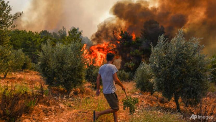 Turkey evacuates panicked tourists by boat from wildfires Turkey evacuates panicked tourists by boat from wildfires
