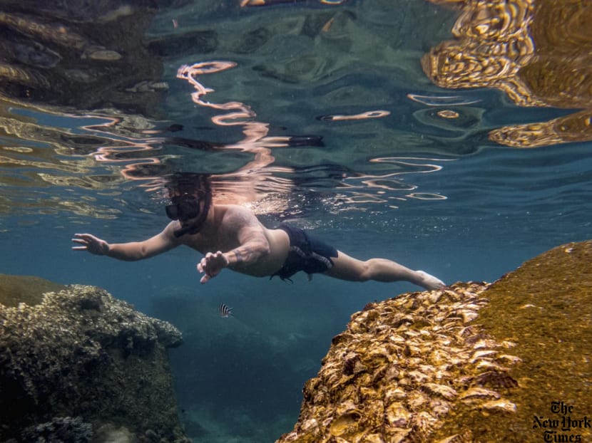 On the Thai island of Koh Tao, can tourism and the environment co-exist? On the Thai island of Koh Tao, can tourism and the environment co-exist?