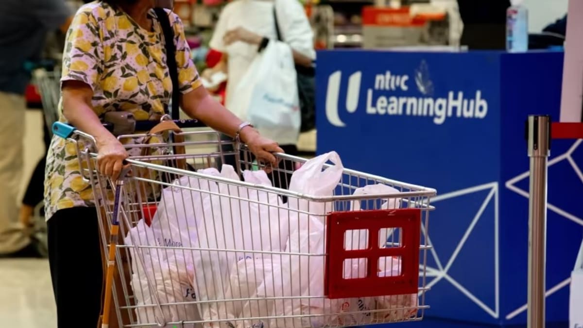 Bill to make plastic bag charge at supermarkets mandatory tabled in
