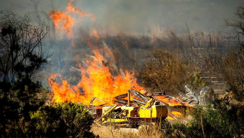 Southern California blaze sears homes, orchards, threatens oil fields