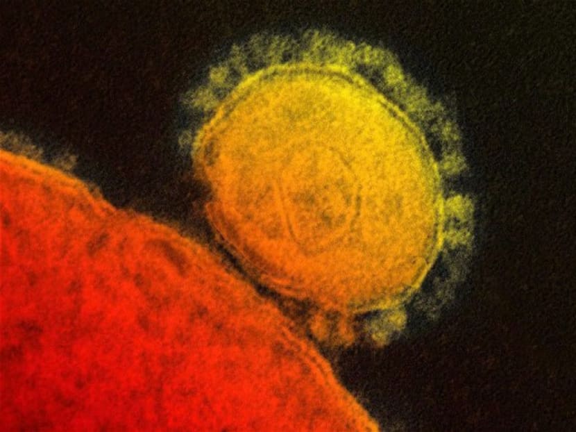 The MERS coronavirus. Photo: AP