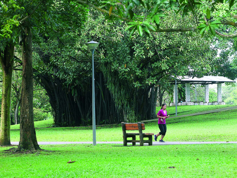 A pavillion located near a tree in the vicinity of car park 2 at Sembawang Park on 9 Jan 2014. Photo by OOI BOON KEONG