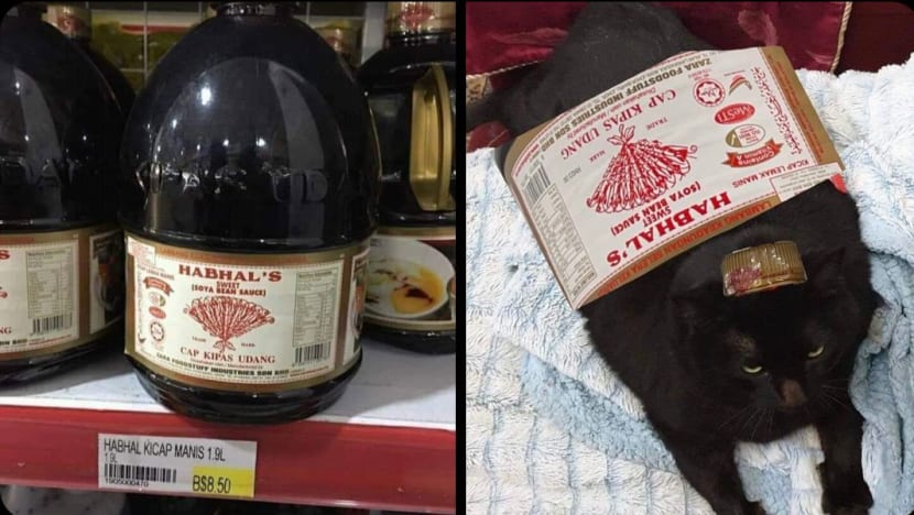 Gambar Pilihan Hari Ini Gambar Pilihan Hari Ini