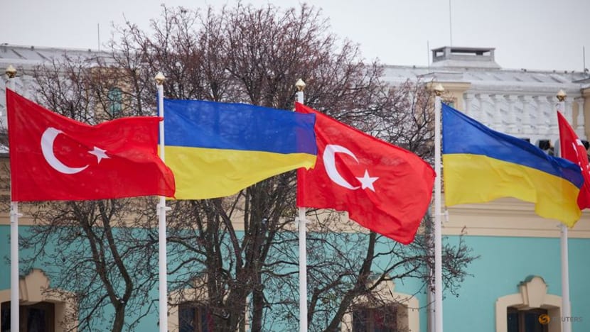 Ukraine working with Turkey, understands parallel ties to Russia: Ukrainian diplomat