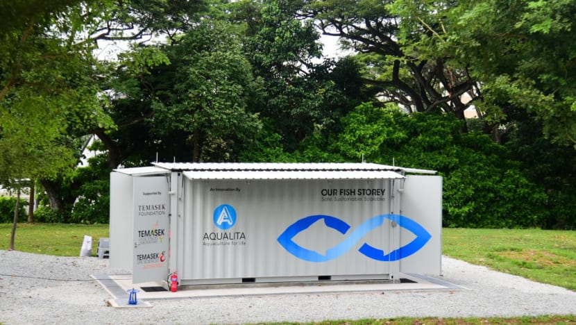Fresh fish in your area: Container fish farm launched next to Tampines  Round Market & Food Centre - CNA
