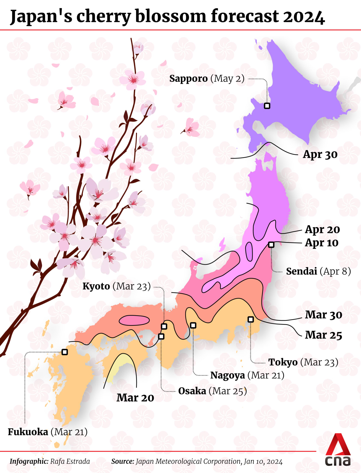 Sakura forecast for 2024 Here's when you can catch cherry blossoms in