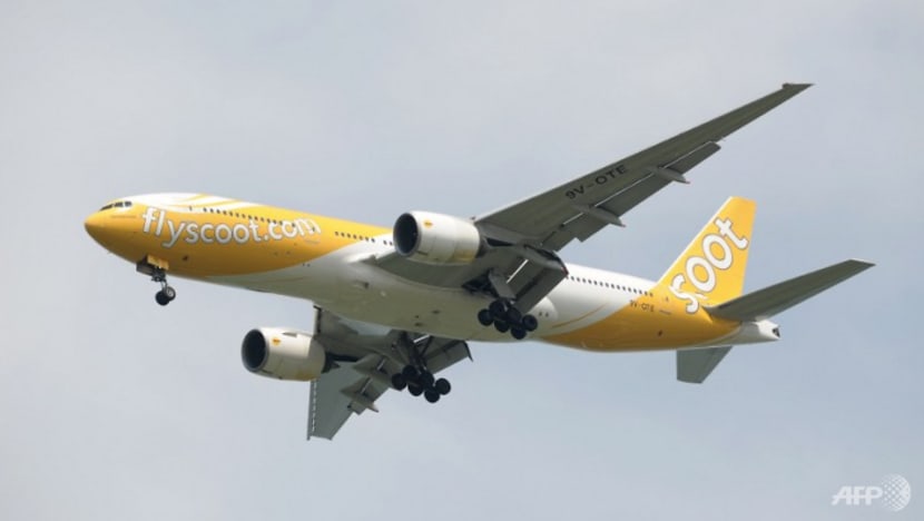scoot airplane 1109614 0