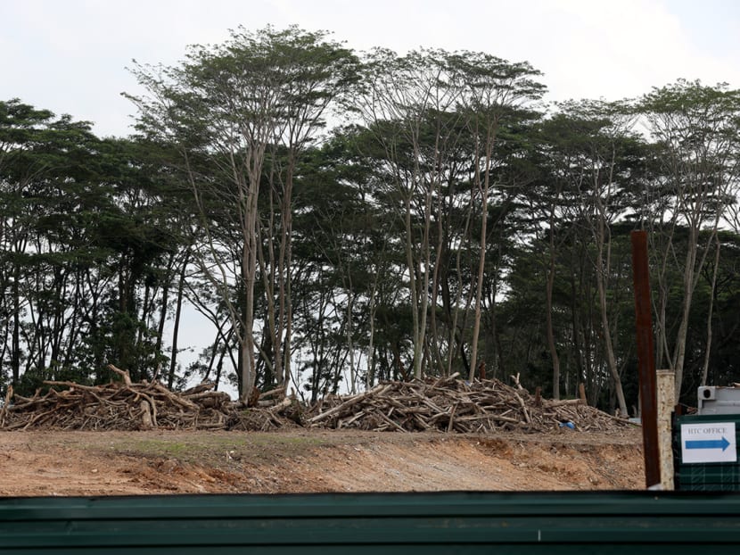 A file picture of the construction site for the Agri-Food Innovation Park in Kranji.