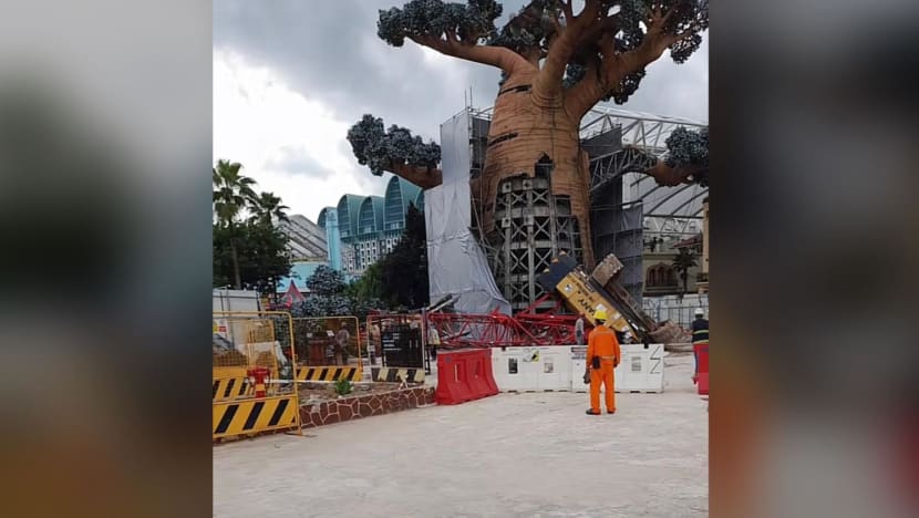 Engineering firm ordered to stop lifting, demolition work after crane topples at Universal Studios Singapore