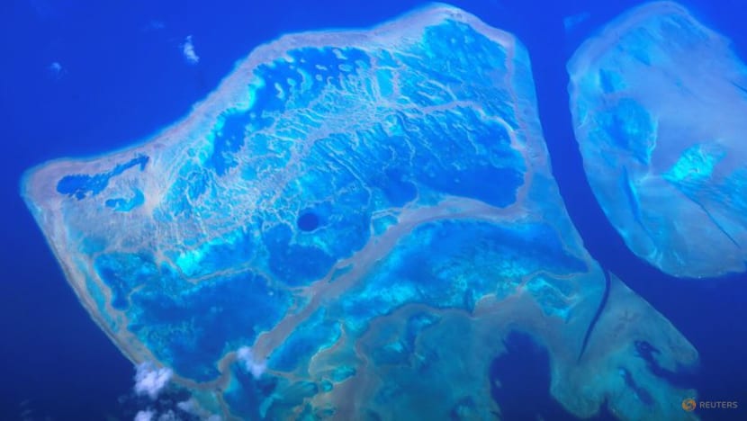 Parts of Australia's Great Barrier Reef show highest coral cover in 36 years Parts of Australia's Great Barrier Reef show highest coral cover in 36 years