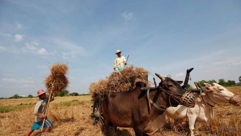 'Troubling' signs of Myanmar food price rises since coup: UN agency 'Troubling' signs of Myanmar food price rises since coup: UN agency