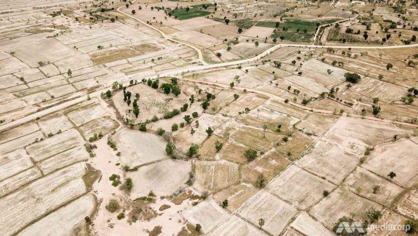 When the rain doesn’t come: Thailand in grip of severe drought as monsoon season fails to deliver When the rain doesn’t come: Thailand in grip of severe drought as monsoon season fails to deliver