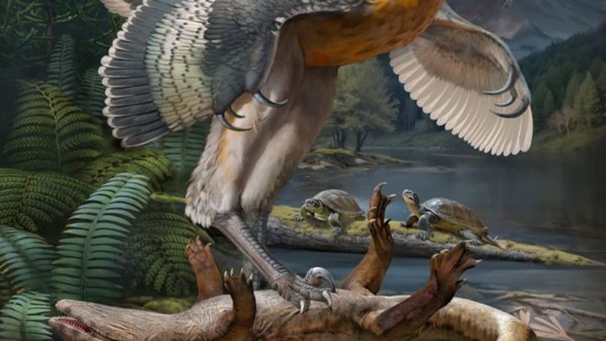 ‘Bizarre’ long-legged bird-like dinosaur has scientists enthralled