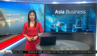 Singapore-Indonesia joint industrial park in Kendal to expand | Video