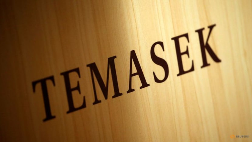 Temasek to step up investments once market valuations drop further, executive says