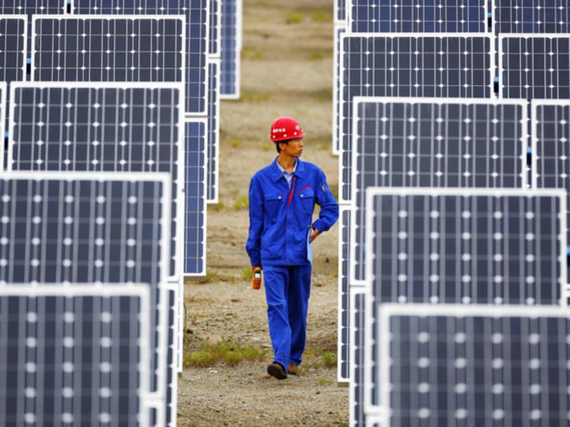 Hairy crabs help China’s solar industry flourish Hairy crabs help China’s solar industry flourish