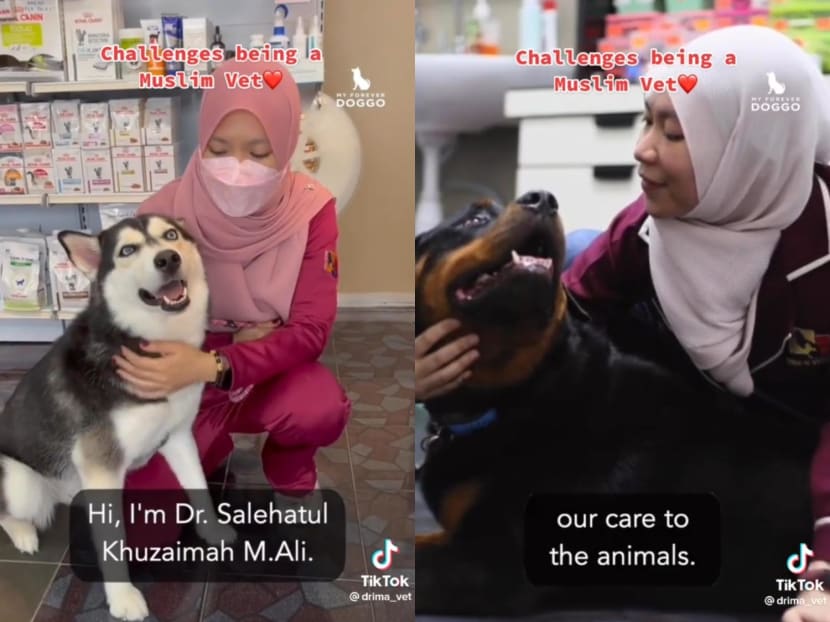 In her TikTok videos, Dr Ima, a Muslim veterinarian in Malaysia, gives advice on how to care for pets or talks about the treatments she carries out at her clinic.