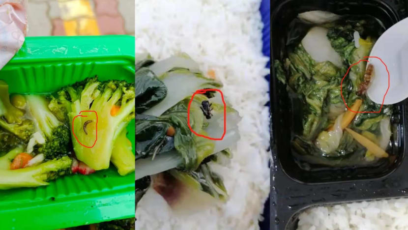 SFA investigating Catering Solutions after complaints about meals at Jalan Tukang dormitory SFA investigating Catering Solutions after complaints about meals at Jalan Tukang dormitory