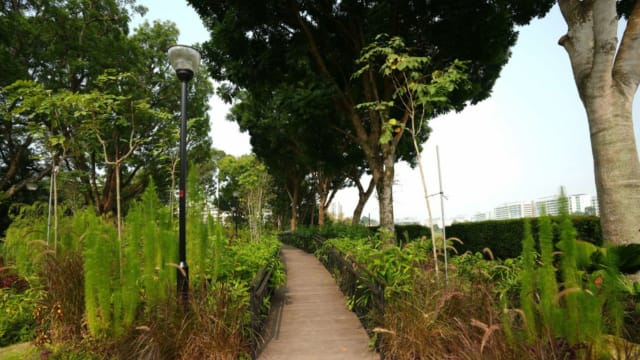 公园局推出三个新康疗花园 让公众提升身心健康