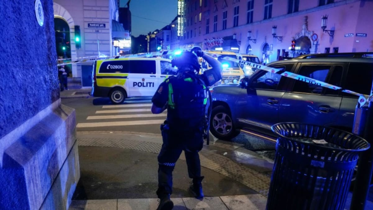 2 killed, 14 wounded in Oslo shooting