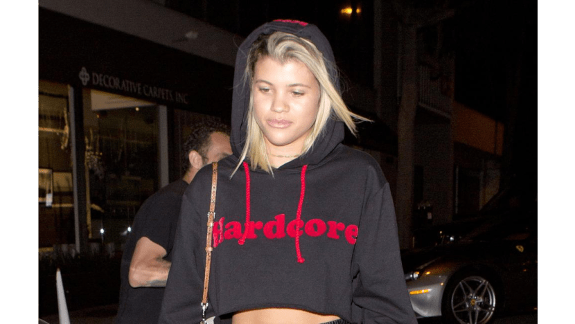 Sofia Richie wants to be liked by the Kardashian family