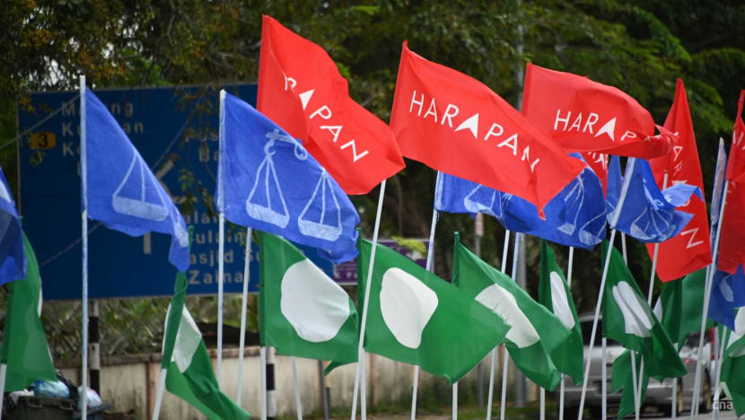 Courting the Malay vote: Race-based politics still centrestage in Malaysian politics