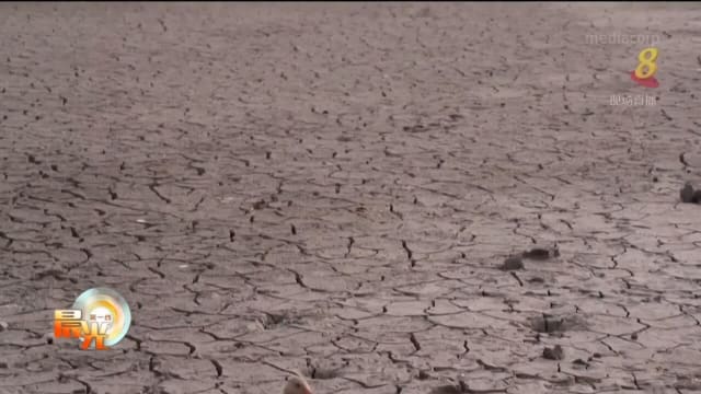 六成以上欧洲地区面临严重干旱 47地区被列入警告状态