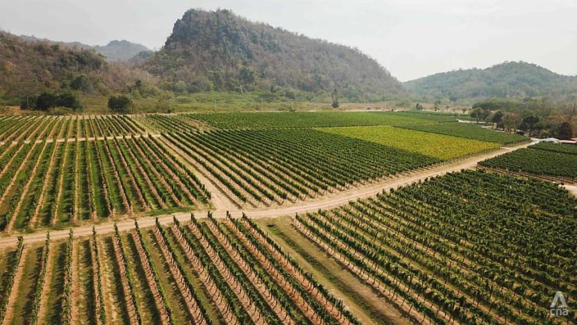 Adapting to climate change: How Thailand’s tropical wines are teaching the old world new tricks Adapting to climate change: How Thailand’s tropical wines are teaching the old world new tricks