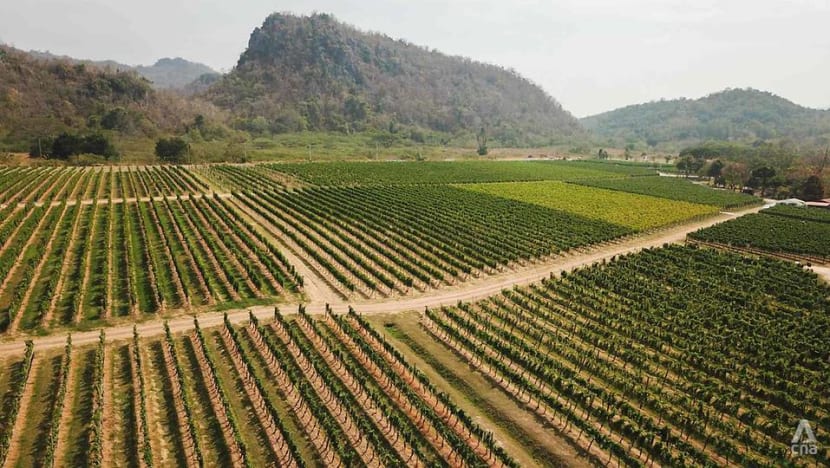 Adapting to climate change: How Thailand’s tropical wines are teaching the old world new tricks