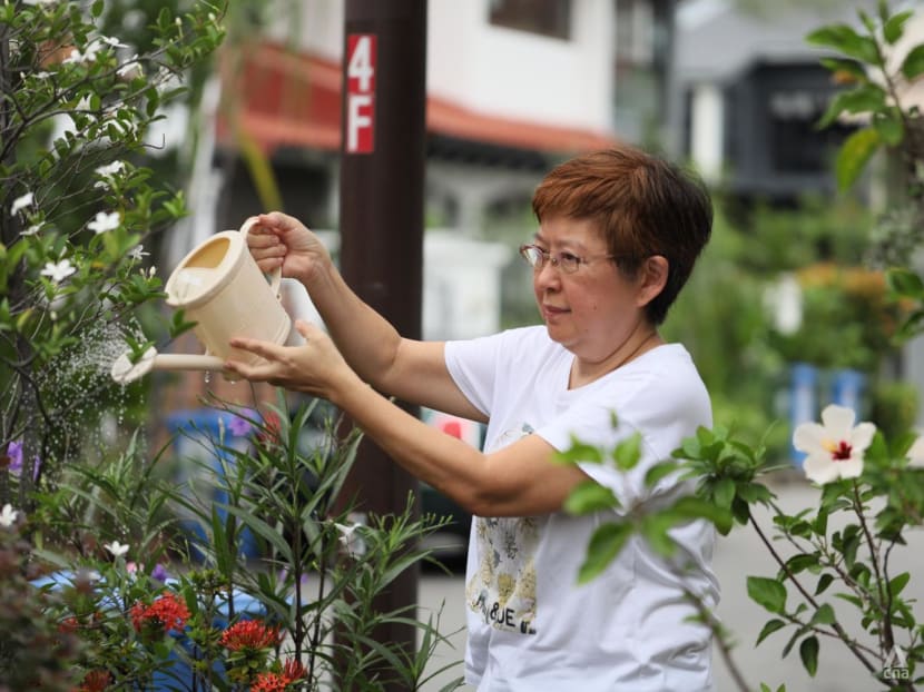From Our Backyard: This seasoned home gardener grows her vegetables in repurposed plastic cups From Our Backyard: This seasoned home gardener grows her vegetables in repurposed plastic cups