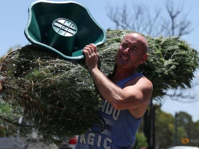 Australian Christmas tree farms run out as shoppers seek a merrier end to a tough 2020 Australian Christmas tree farms run out as shoppers seek a merrier end to a tough 2020