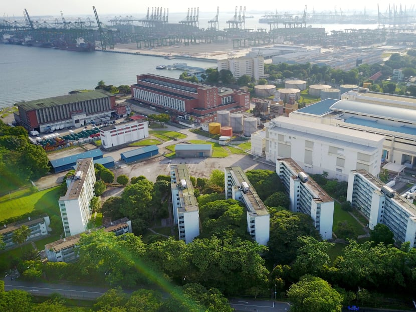 Overview of the Pasir Panjang Power Station (red brick buildings) and the workers’ quarters (foreground). The Pasir Panjang Power Station was decommissioned in 1987. Photo: Najeer Yusof/TODAY