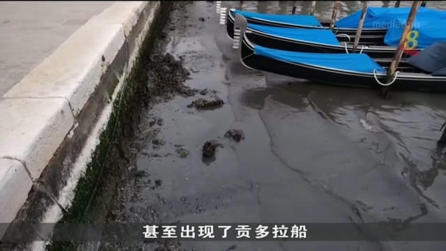 威尼斯现罕见低潮 贡多拉船搁浅淤泥中