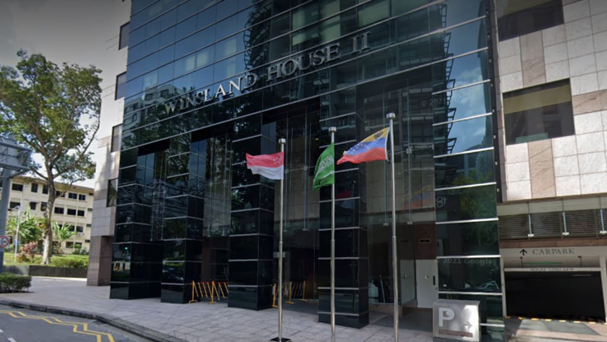 Man Jailed For Stealing Saudi Arabia Flag From Embassy Assaulting His 81 Year Old Grandmother Cna