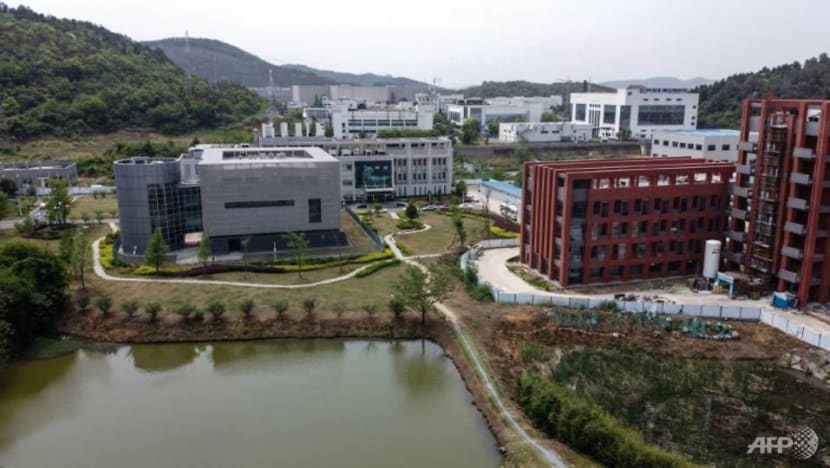 China offers glimpse inside Wuhan lab near COVID-19 origin China offers glimpse inside Wuhan lab near COVID-19 origin