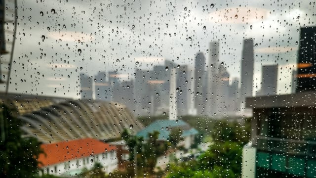 未来两周天气料持续潮湿 迎来更多雷阵雨