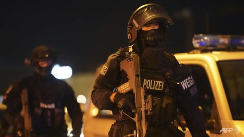 Czechs launch border checks after Vienna attack: Police Czechs launch border checks after Vienna attack: Police