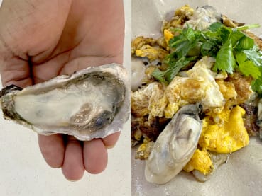 Hawker behind viral ‘humful’ char kway teow now sells oyster omelette with XL fresh oysters