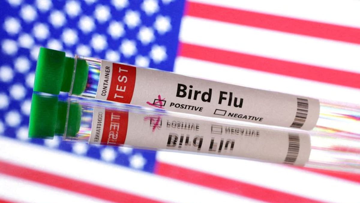 US issues order mandating bird flu testing of milk supply