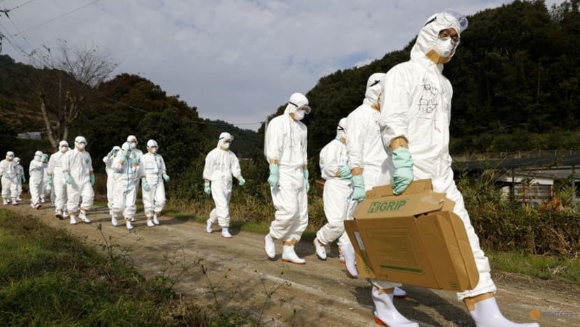 Bird flu spreads in Europe and Asia Bird flu spreads in Europe and Asia