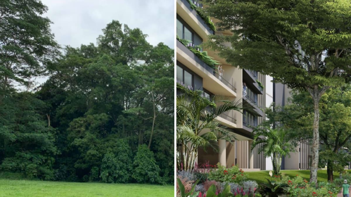 Komentar: Red Dover Forest dan nasib perencana kota Singapura