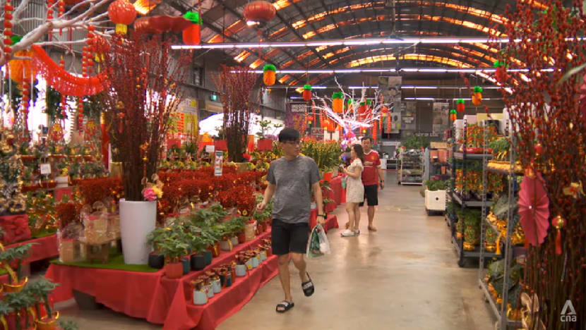 Why your Chinese New Year plants are likely to be more expensive this year