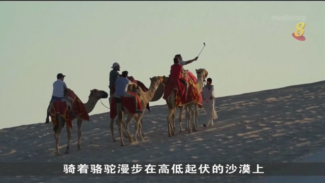 世界杯带动卡塔尔旅游业 骆驼业者应接不暇