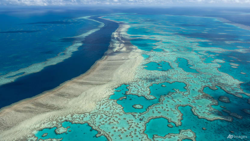 Australia pledges US$704 million to save Great Barrier Reef Australia pledges US$704 million to save Great Barrier Reef