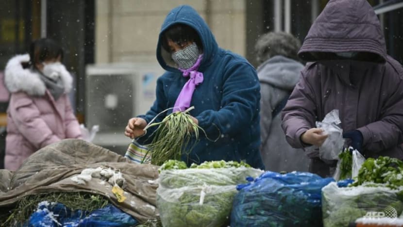 Keep global food supply chains intact: WTO, UN agencies Keep global food supply chains intact: WTO, UN agencies