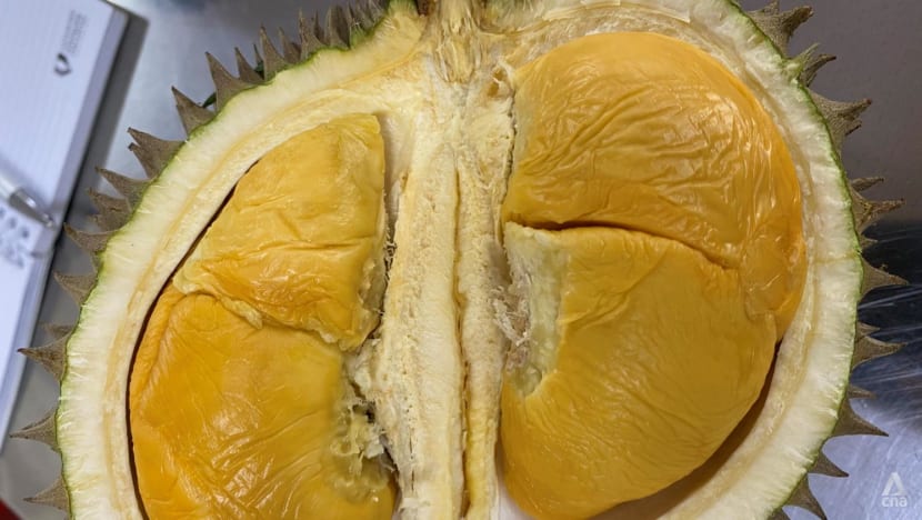 Magazine - Botanic Name: Durio zibethinus, the Fruit which aroused the Biohazard Team!